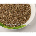 sell chinese 2012 crop Hemp seeds